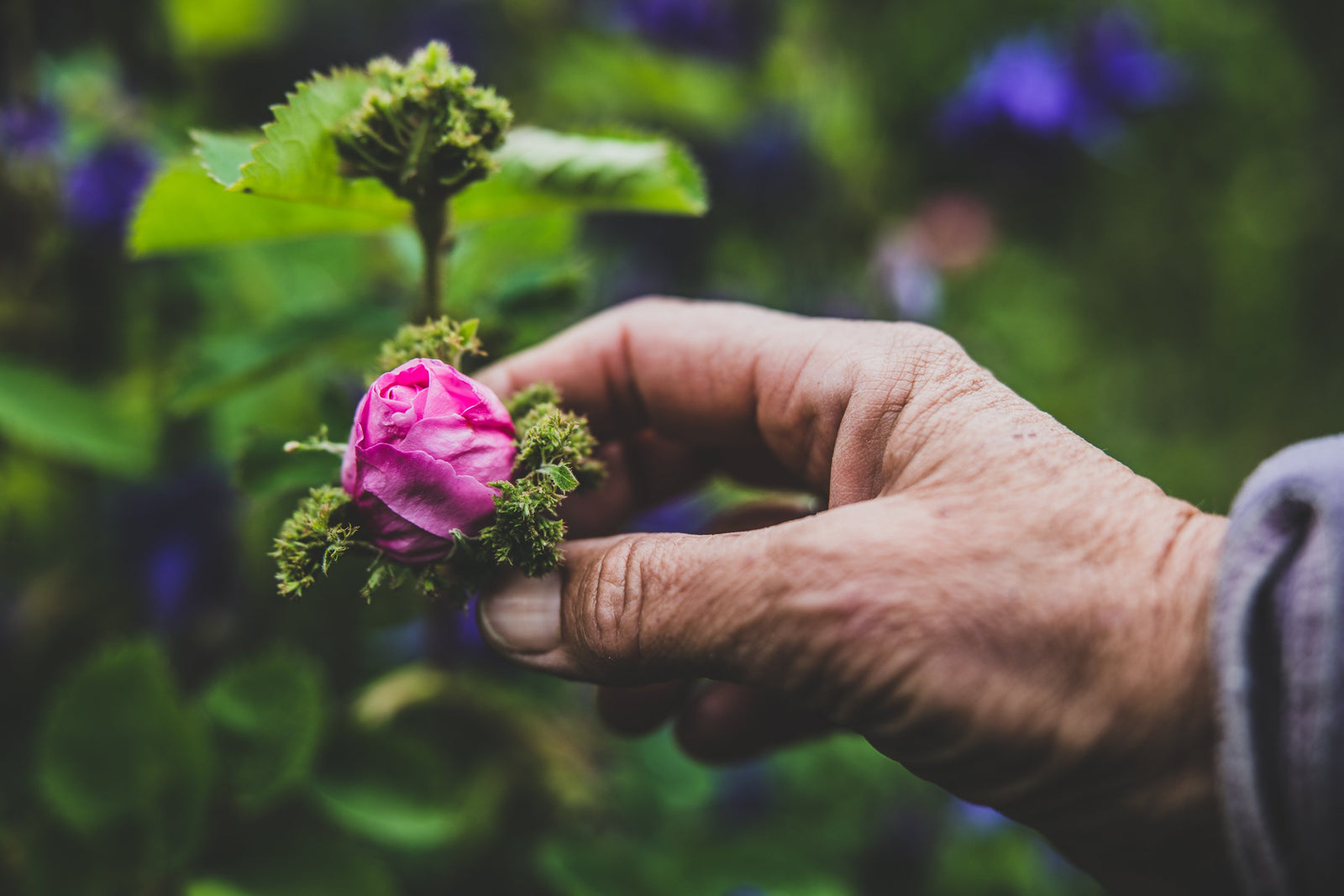Luonnonpuhtaat tuoksusekoitukset