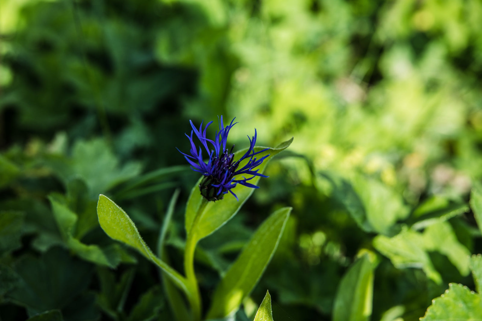 Aromatherapie Zubehör