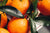 Klementiiniöljy luomu Citrus clementina