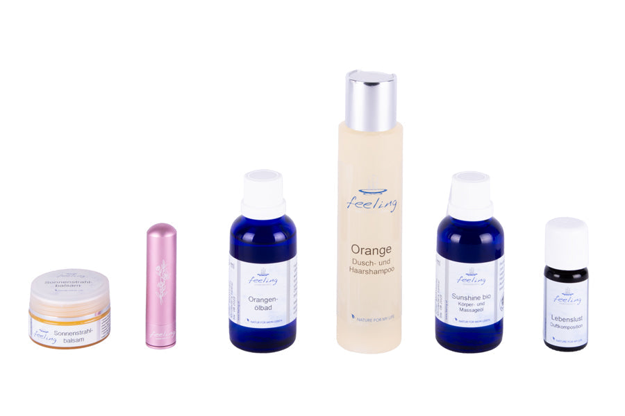 Lichtblicke Hemmottelusetti