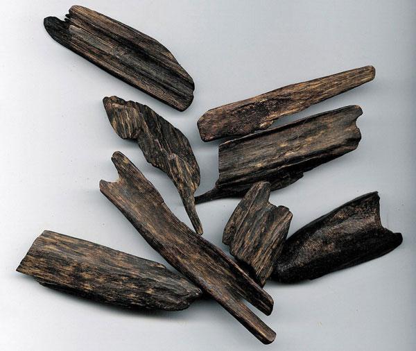 Agarwood / Oud Attar jojobassa 10:90 Aquilaria malaccensis | Santalum album