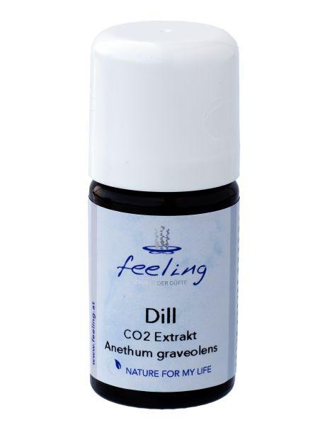 Tillinsiemenuute CO2 Anethum graveolens