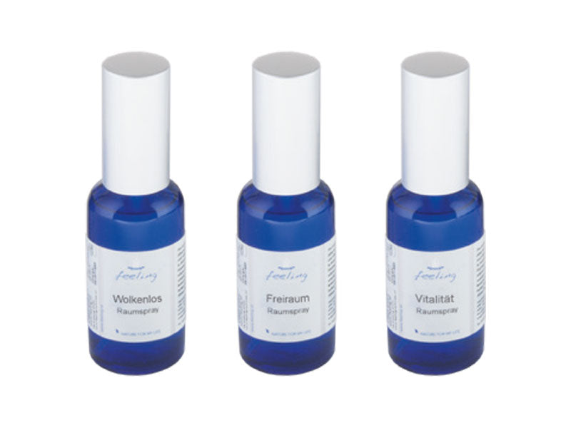 Huoneilman tuoksusetti Freiheit