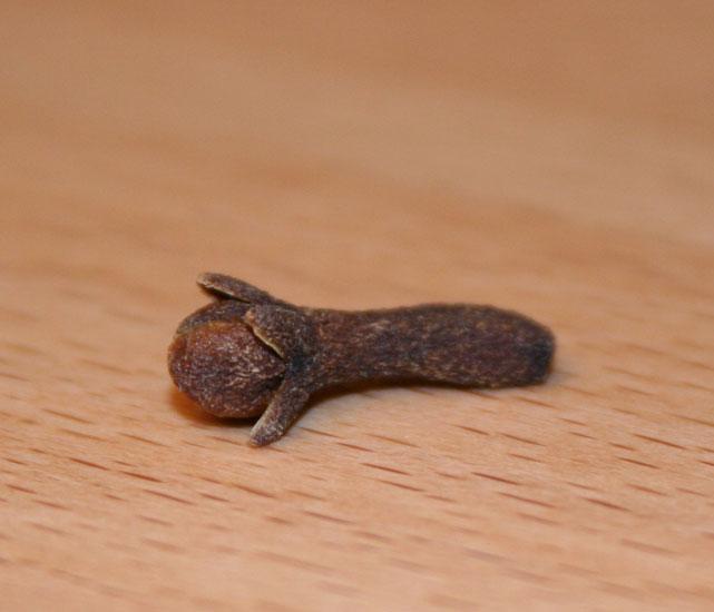 Neilikannuppuöljy luomu Syzygium aromaticum