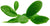 Ravintsaraöljy (Ct. 1,8 sineoli) , villikasvu Cinnamomum camphora
